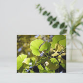 Ginkgo-Blätter: Japan Postkarte (Stehend Vorderseite)