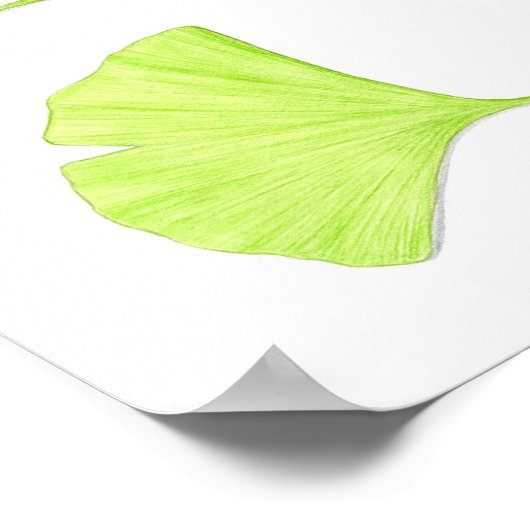 Ginkgo-Blätter Kunstdrucke Poster (Ecke)