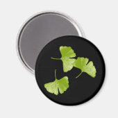 Ginkgo-Blätter Magnet (Vorderseite/Rückseite)