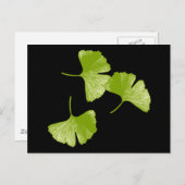 Ginkgo-Blätter Postkarte (Vorne/Hinten)