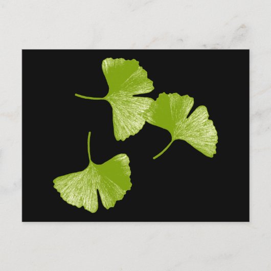 Ginkgo-Blätter Postkarte (Vorderseite)
