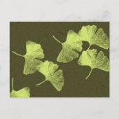 Ginkgo-Blätter Postkarte (Vorderseite)