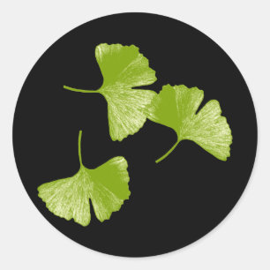 Ginkgo-Blätter Runder Aufkleber