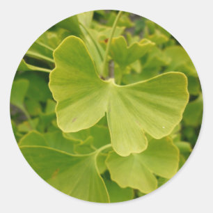 Ginkgo Butterfly Runder Aufkleber