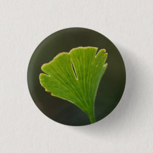 Ginkgo Leaf Abzeichen Button