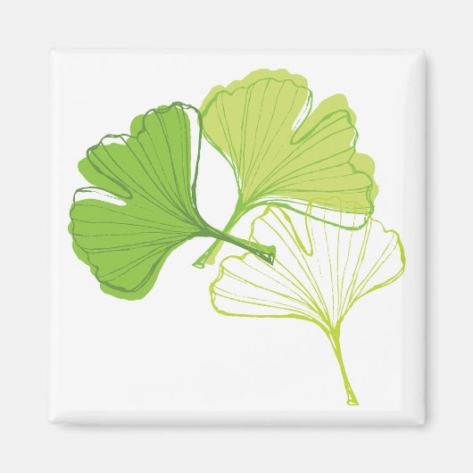 Ginkgo Leaf Magnet (Vorne)