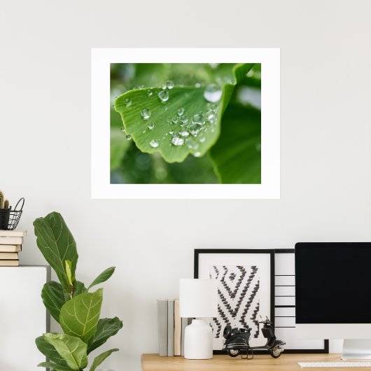 Ginkgo Pflanze Poster (Heimbüro)