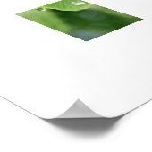 Ginkgo Pflanze Poster (Ecke)