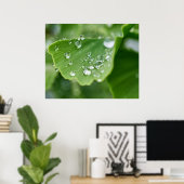 Ginkgo Pflanze Poster (Heimbüro)