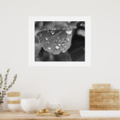 Ginkgo Pflanze Poster (Küche)