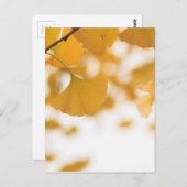 Ginkgo Postkarte (Vorne/Hinten)