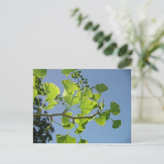 Ginkgo Postkarte (Stehend Vorderseite)