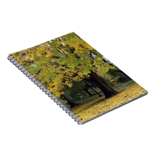 Ginkgo Tree im Fall Notizblock (Rechte Seite)