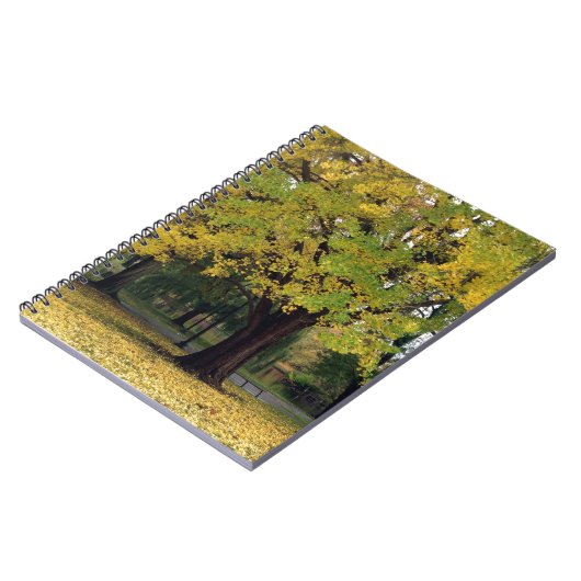 Ginkgo Tree im Fall Notizblock (Linke Seite)