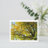 Ginkgo Tree: Japan Postkarte (Stehend Vorderseite)