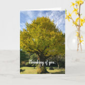 Ginkgo Tree of Golden Yellow Karte (Gelbe Blume)