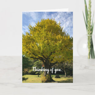 Ginkgo Tree of Golden Yellow Karte