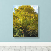 Ginkgo Tree of Golden Yellow Leinwanddruck (Insitu (Holzboden))