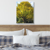 Ginkgo Tree of Golden Yellow Leinwanddruck (Insitu (Schlafzimmer))