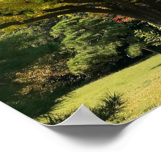 Ginkgo Tree of Golden Yellow Poster (Ecke)