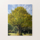 Ginkgo Tree of Golden Yellow Puzzle (Vertikal)