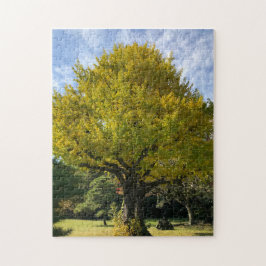 Ginkgo Tree of Golden Yellow Puzzle
