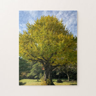 Ginkgo Tree of Golden Yellow Puzzle