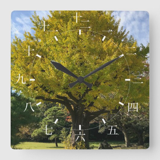Ginkgo Tree of Golden Yellow Quadratische Wanduhr (Vorderseite)