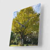 Ginkgo Tree of Golden Yellow Quadratische Wanduhr (Winkel)