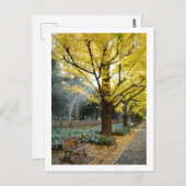 Ginkgo Trees: Meiji Jingu Gaien, Tokio Postkarte (Vorne/Hinten)