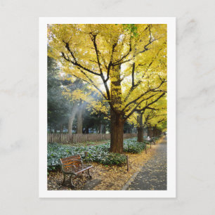 Ginkgo Trees: Meiji Jingu Gaien, Tokio Postkarte