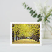 Ginkgo Trees: Showa Kinen Park, Tokio Postkarte (Stehend Vorderseite)