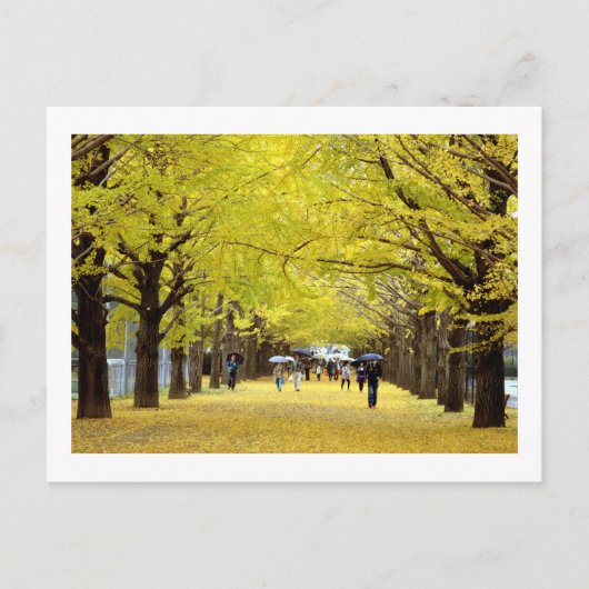 Ginkgo Trees: Showa Kinen Park, Tokio Postkarte (Vorderseite)