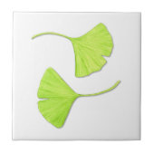 Ginkgo Verlasse Naturkunst Fliese (Vorderseite)