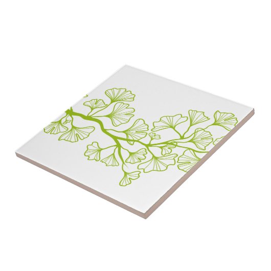 Ginkgobaum mit grünem Blätter Fliese (Seite)