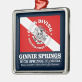 Ginnie Springs (beste Höhlen) Ornament Aus Metall (Links)