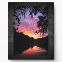 Ginnie Springs River Sunrise Acrylic Wall Art