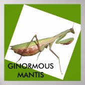 GINORMOUS MANTIS POSTER (Vorne)