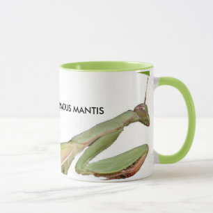 GINORMOUS MANTIS TASSE