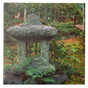 Giohji Temple, Arashiyama, Kyoto, Japan Fliese