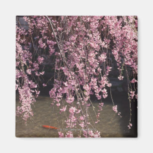 Gion, Kyoto-Präfektur, Japan Magnet