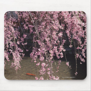 Gion, Kyoto-Präfektur, Japan Mousepad