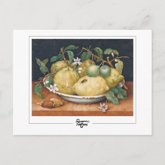 Giovanna Garzoni #4 - Kunsterlebnis Postkarte (Vorderseite)