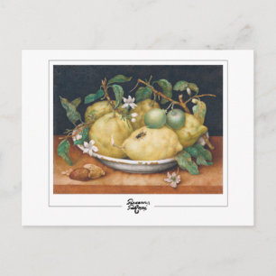 Giovanna Garzoni #4 - Kunstpostkarte Postkarte