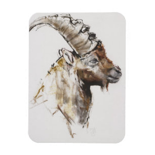 Giovanotto 2005 magnet