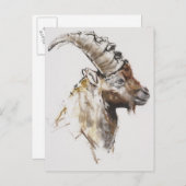 Giovanotto 2005 postkarte (Vorne/Hinten)