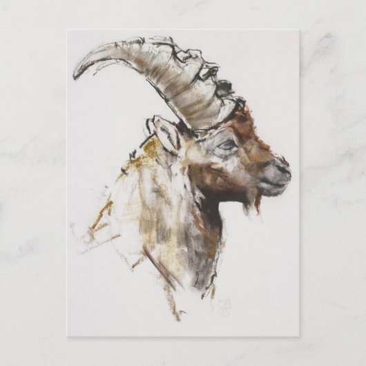 Giovanotto 2005 postkarte (Vorderseite)