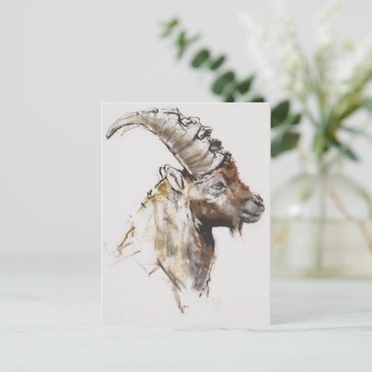 Giovanotto 2005 postkarte (Stehend Vorderseite)