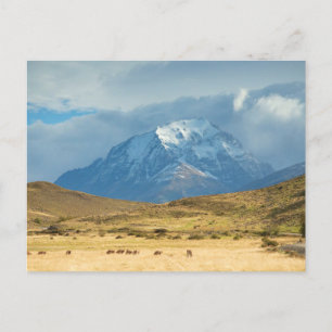 Gipfel der Berge in Torres del Plains Postkarte