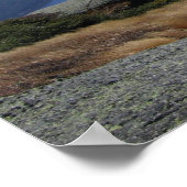 Gipfel von Adirondack - Algonquin Poster (Ecke)